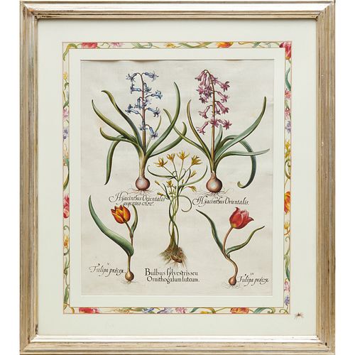 BASILIUS BESLER, HAND-COLORED