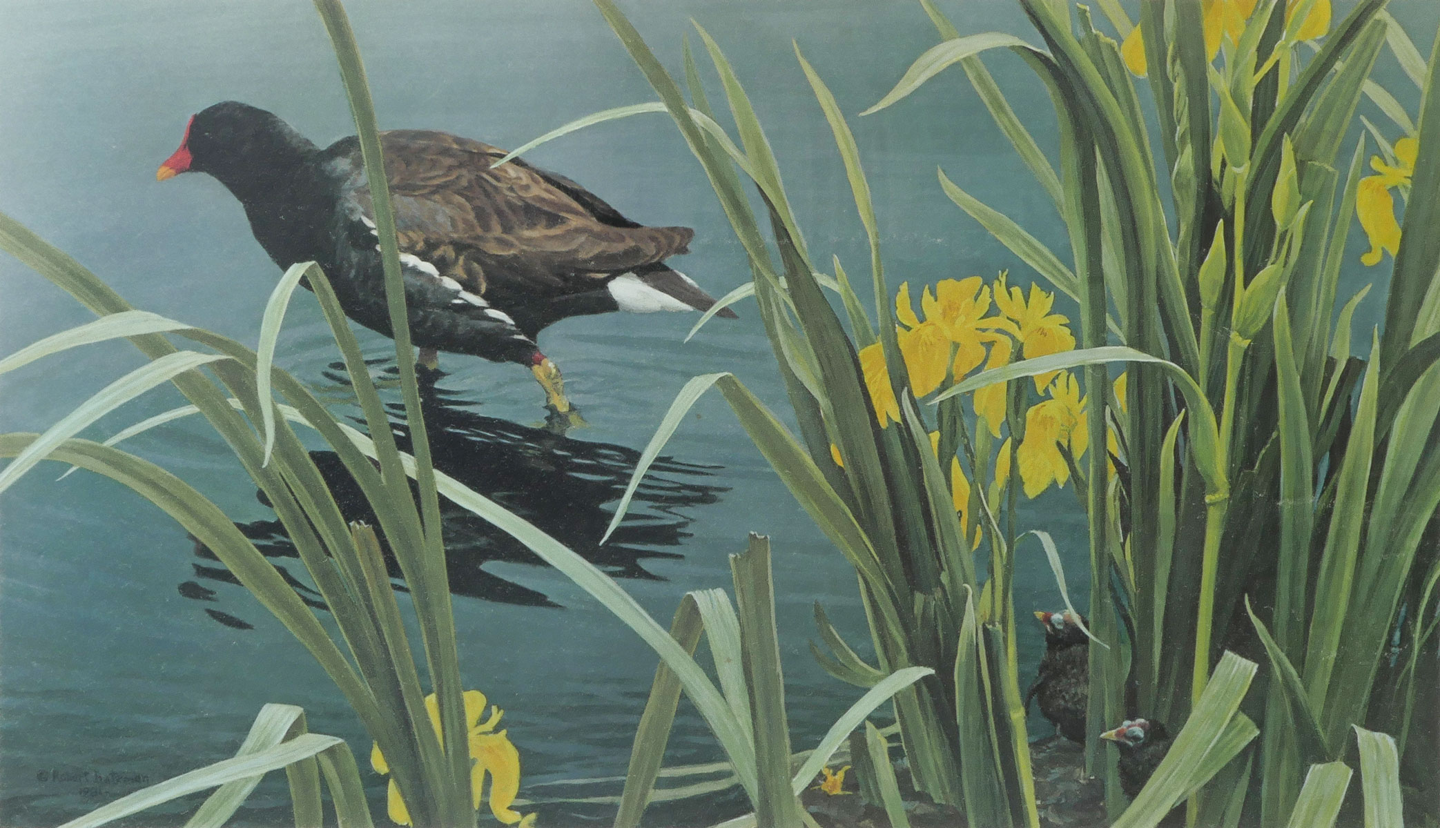 BATEMAN, Robert, (Canadian, b.