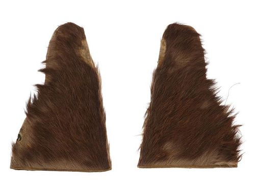 BEAR HIDE STAGECOACH DRIVER