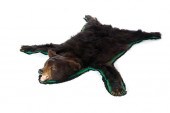 BEAR SKIN RUG.  American  20th