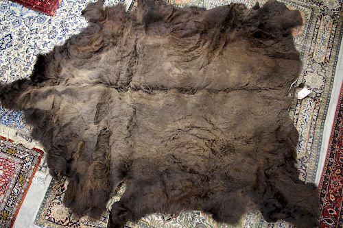 BEAR SKIN RUG6'-3" across back legs