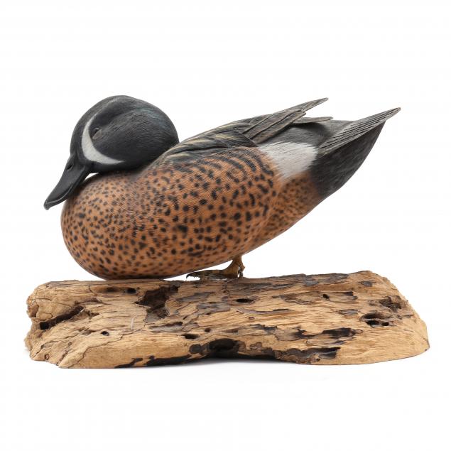 BEN HEINEMANN (NC), BLUE WINGED
