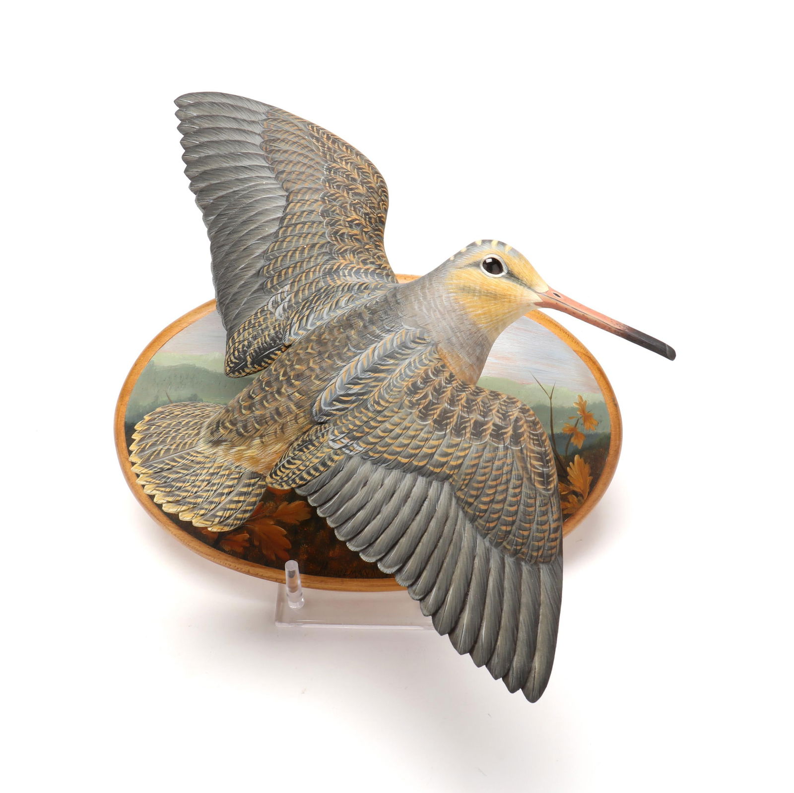 BEN HEINEMANN (NC), FLYING WOODCOCK