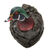 BEN HEINEMANN (NC), WOOD DUCK
