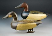 Ben Yeargan Canvasback Duck De