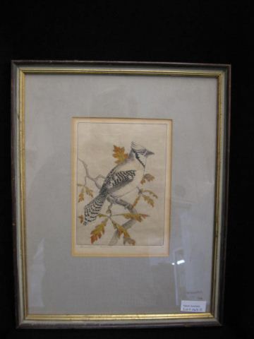 Benson B. Moore Etching Blue Jay