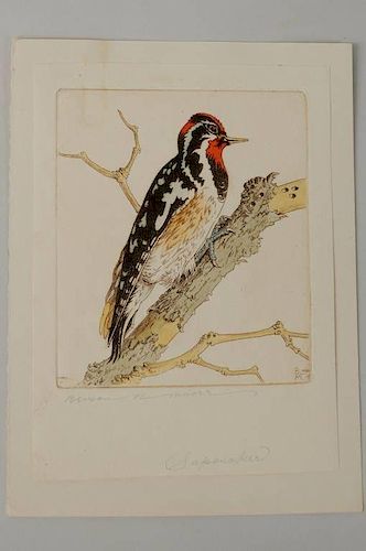 BENSON BOND MOORE "SAPSUCKER"