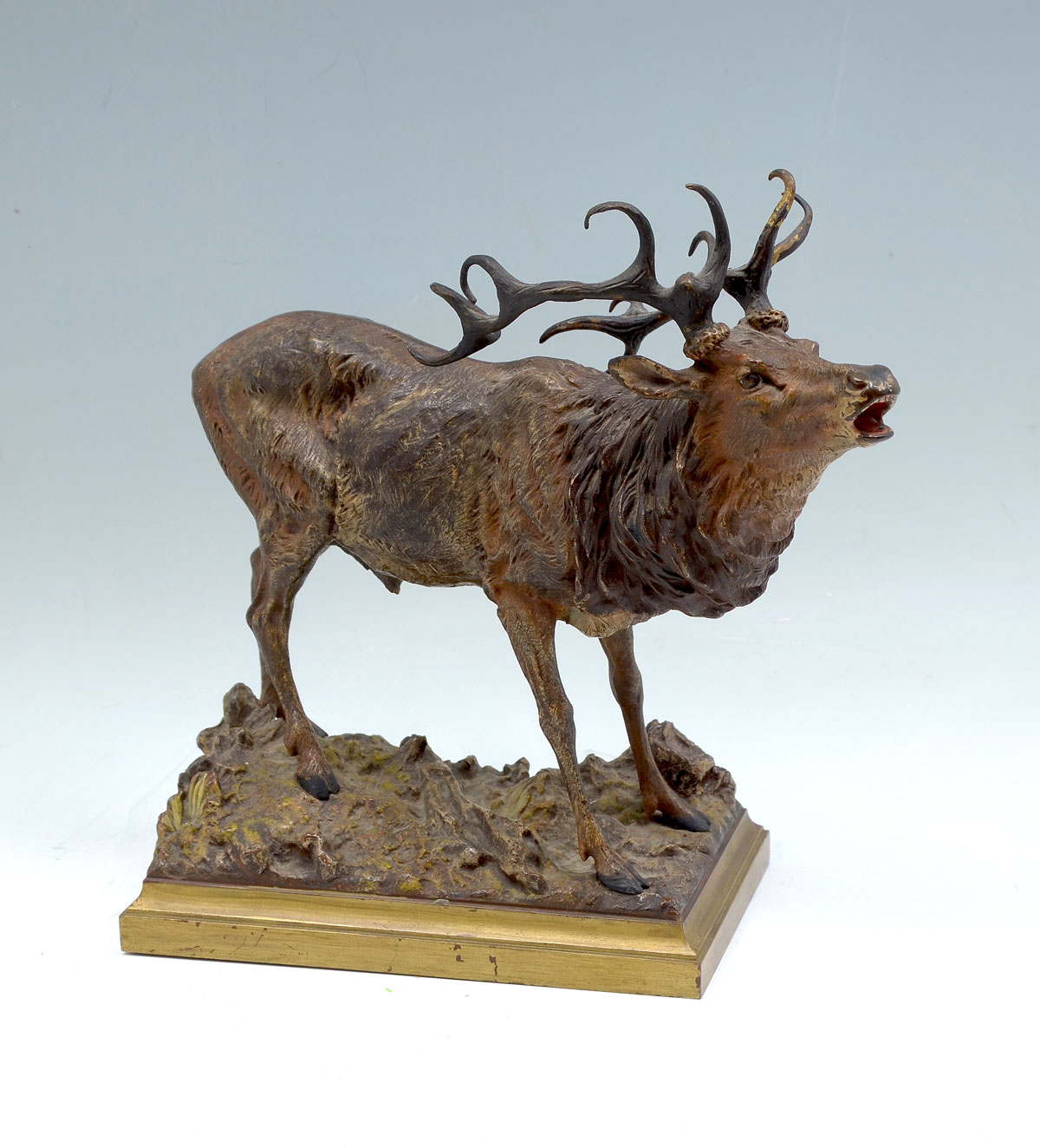 BERGMANN, Franz, (Austrian,
