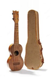 BERGSTROM UKULELECased Bergsto