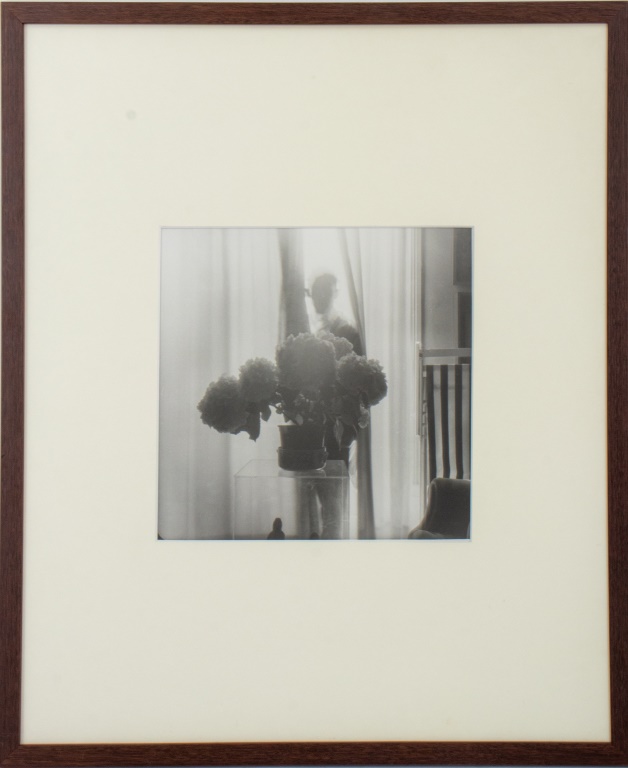BERNARD GUILLOT, HORTENSIAS, SILVER