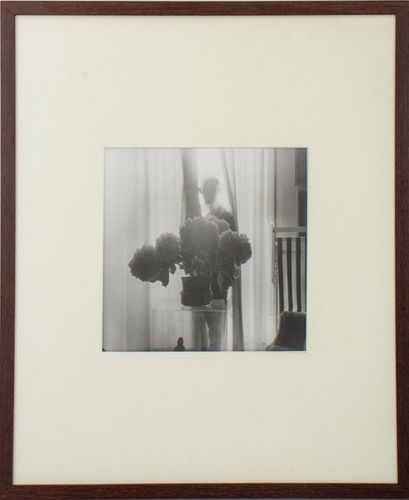 BERNARD GUILLOT, HORTENSIAS, SILVER