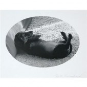 BERNHARD, RUTH (1905-2006) [Da