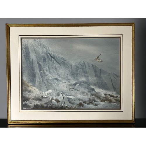 Berrisford Hill - Large