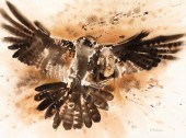 BERT DAIL SEABOURN, NIGHT HAWK