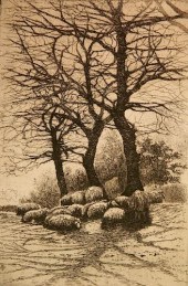 BERTHA E. JACQUES ETCHINGBerth