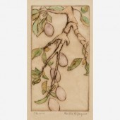 BERTHA JAQUES "PLUMS" 1931 DRY