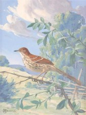 BERTRAM BRUESTLE (CONNECTICUT,