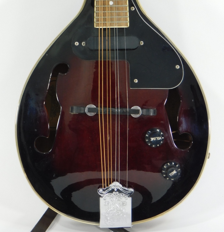 BESTLER M5 8 STRING ELECTRIC