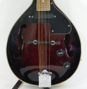 BESTLER M5 8 STRING ELECTRIC M