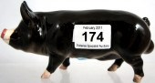 Beswick Berkshire Boar 4118 bo