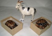 Beswick Model of a Nigerian Po