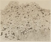BETH VAN HOESEN (1926-2010), "