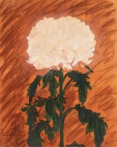 BETTY HAHN, CUT FLOWER, 1979Be