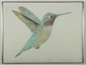 BETTY TOMPKINS, "ANNA'S HUMMIN