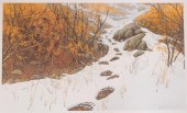 BEV DOOLITTLE (CALIFORNIA, BOR