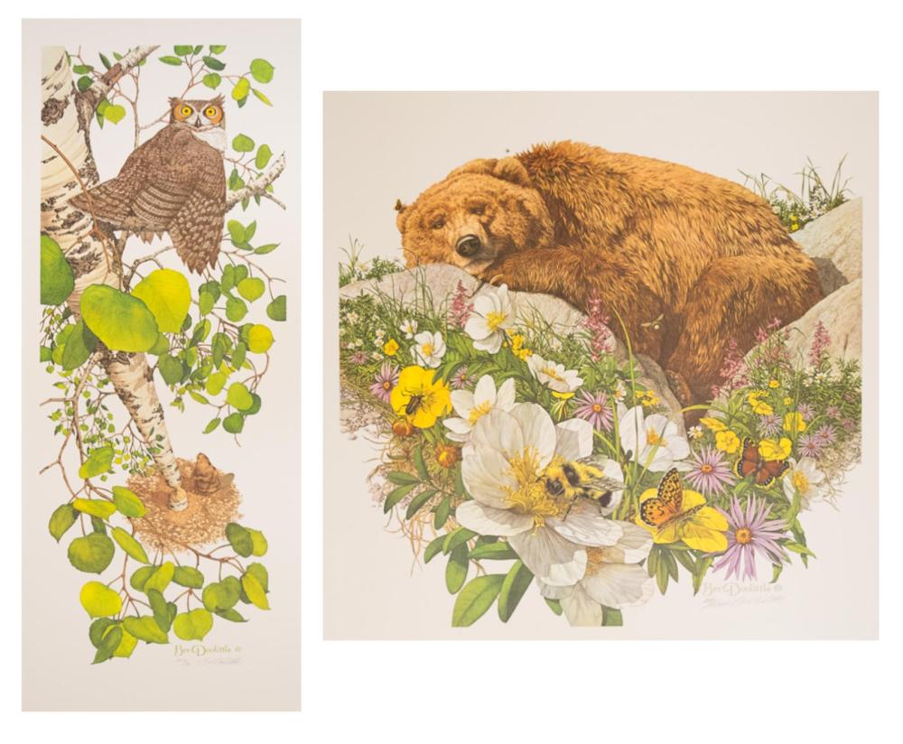 BEV DOOLITTLE (CALIFORNIA, BORN