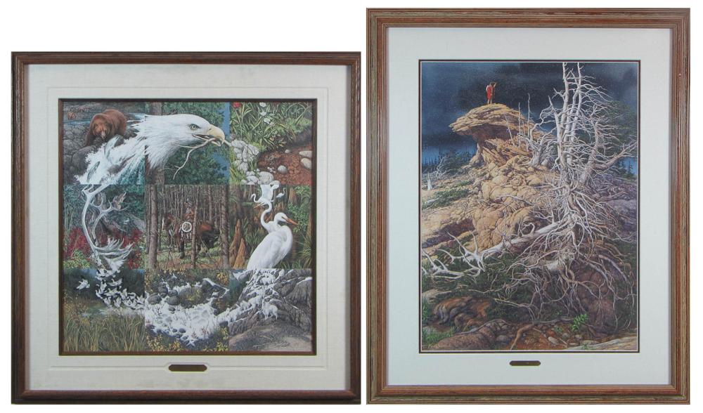BEV DOOLITTLE (CALIFORNIA, BORN