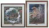 BEV DOOLITTLE (CALIFORNIA, BOR