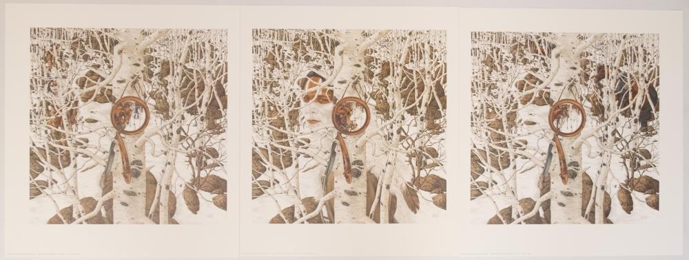 BEV DOOLITTLE (CALIFORNIA, BORN