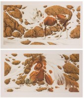 BEV DOOLITTLE (CALIFORNIA, BOR