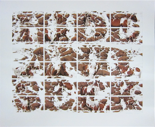 BEV DOOLITTLE COMPOSITE COLOR
