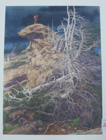 BEVERLY (BEV) DOOLITTLE COLOR