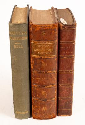 Bewick (Thomas), A general