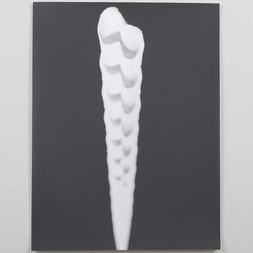 BIANCA SFORNI (B. 1963): UNTITLED