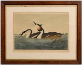 Bien edition Audubon print, Pl