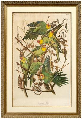 Bien edition Audubon print,