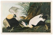 BIEN EDITION CHROMOLITHOGRAPH