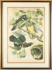 Bien Edition of Audubon's ''Su