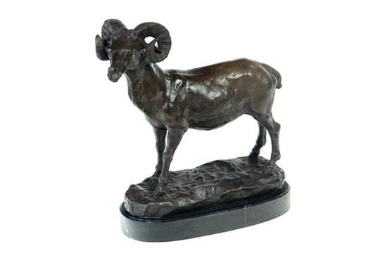 BIG HORN SHEEP AFTER