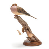 BILL CHRISMAN (VA), PERCHED MO