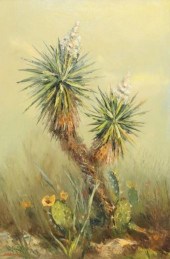 BILL EVANS (TX) 'TEXAS YUCCA'