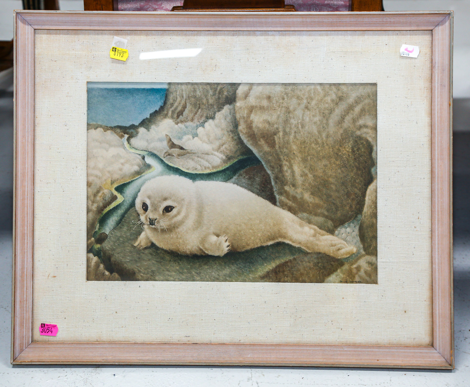 BILLIE WATERS. "BABY SEAL,"