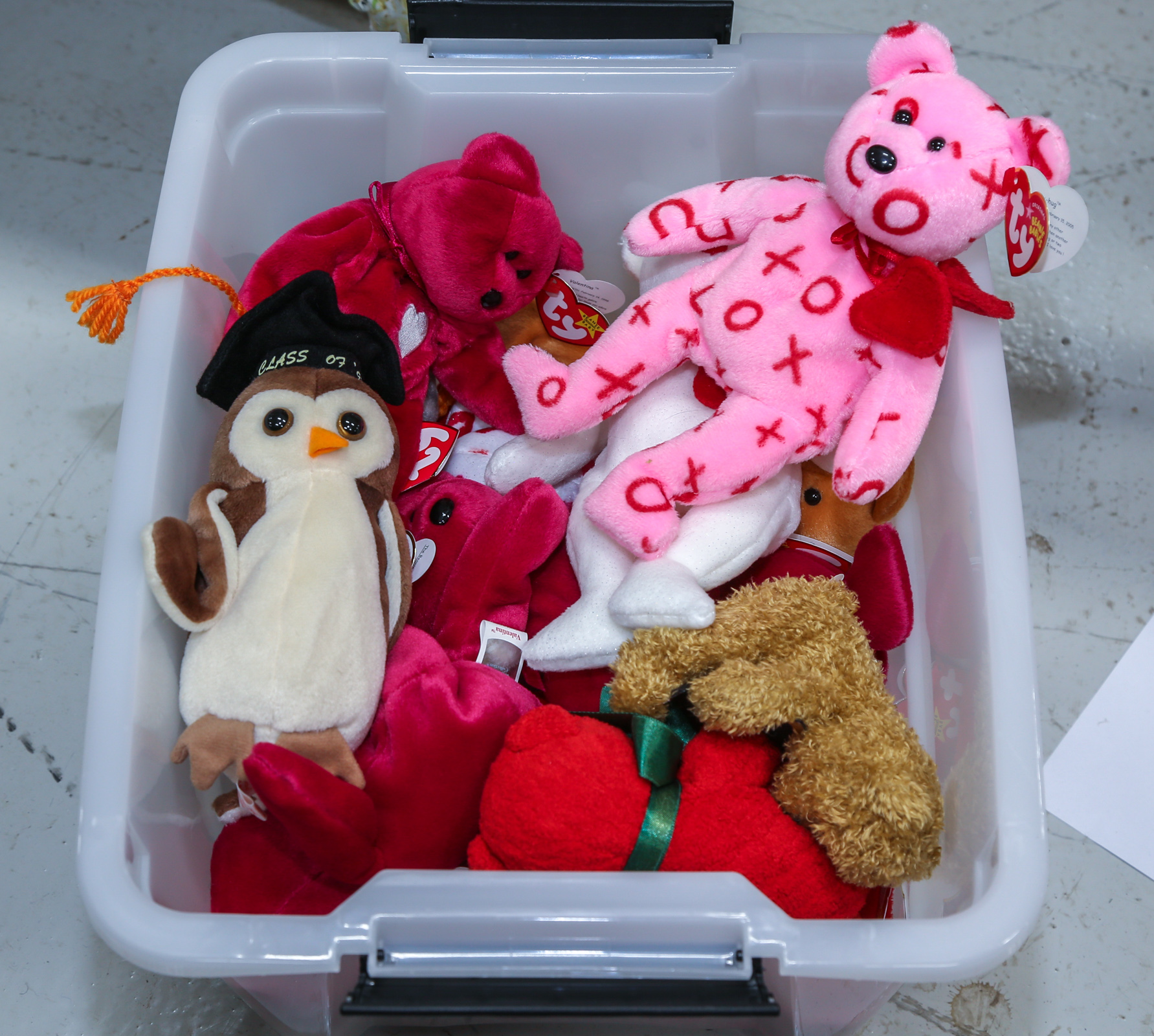 BIN OF 19 HOLIDAY & SCHOOL
