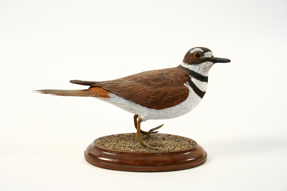 BIRD CARVING - Hand carved and
