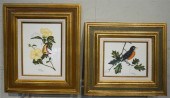 BIRD ON BRANCH AND BUTTERFLY I