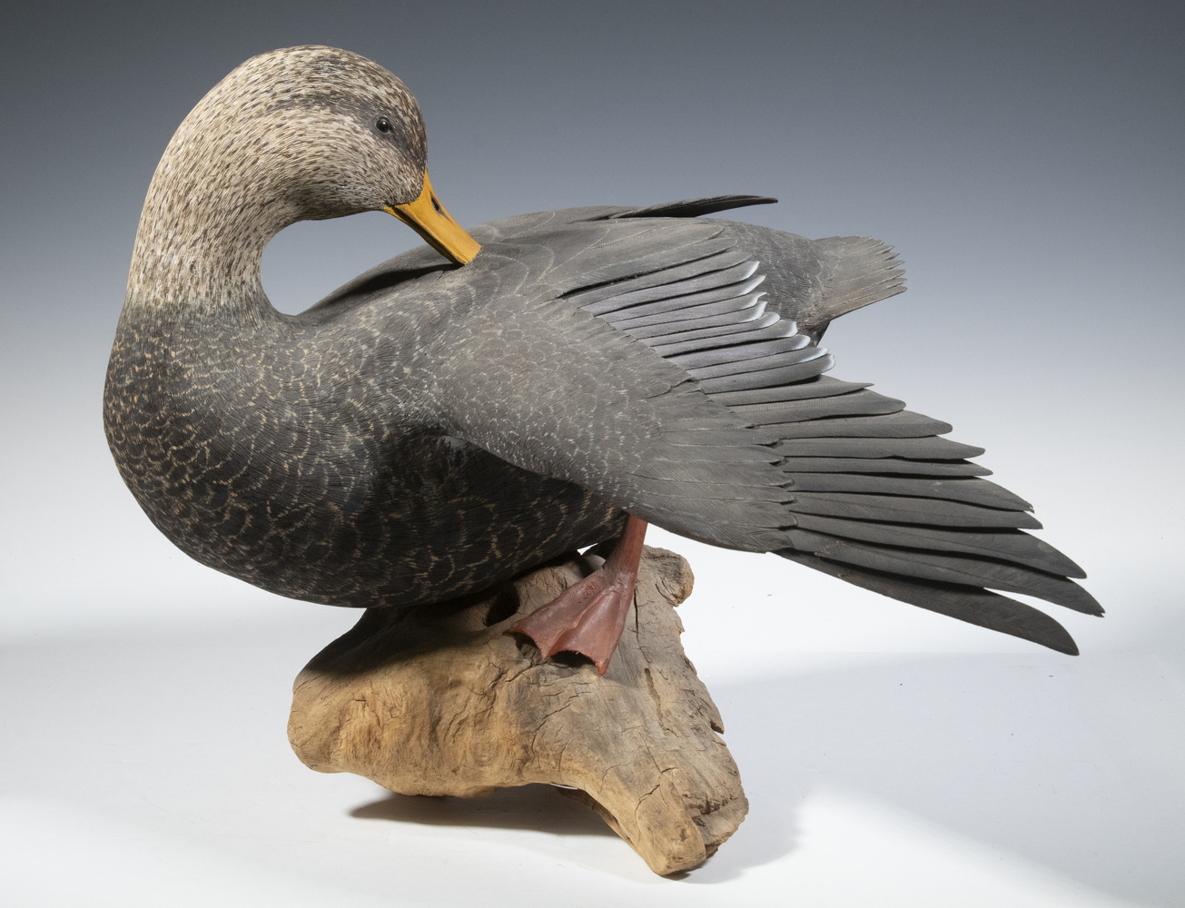 BIRD SCULPTURE BY STEVE HITCHCOCK